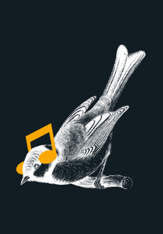 Listening to your heart