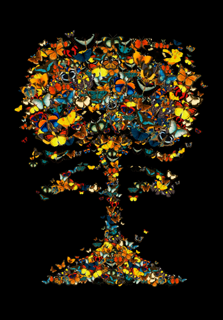 Atomic Butterfly