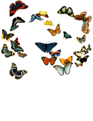 You me Us