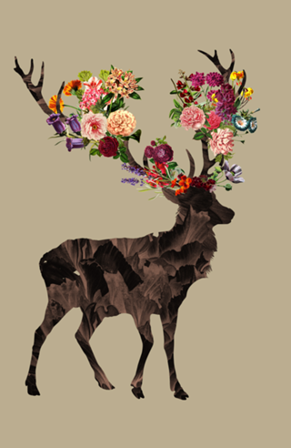 Spring Itself