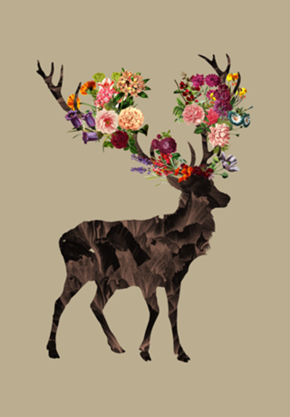 Spring Itself