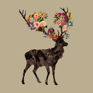 Spring Itself
