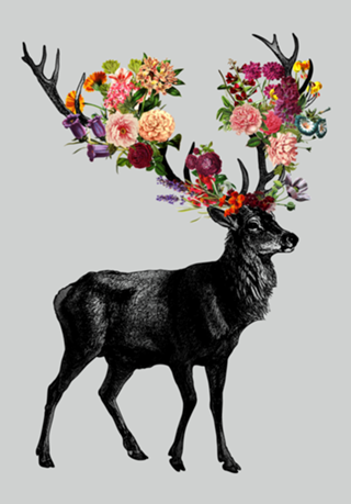 Spring Itself Deer Floral