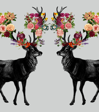 Spring Itself Deer Floral