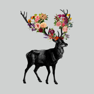 Spring Itself Deer Floral