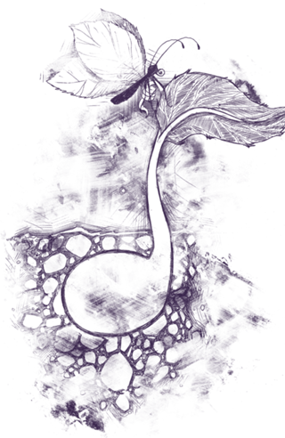 Florescendo