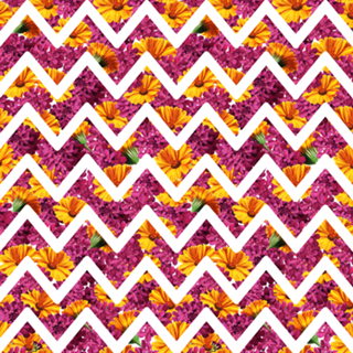 Chevron Summer