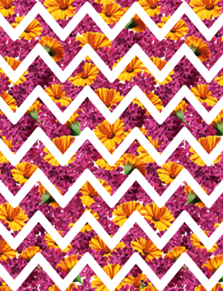 Chevron Summer