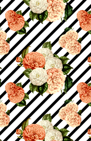 Chrysanthemum Rain