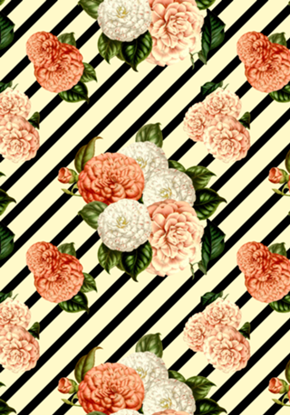 Chrysanthemum Rain