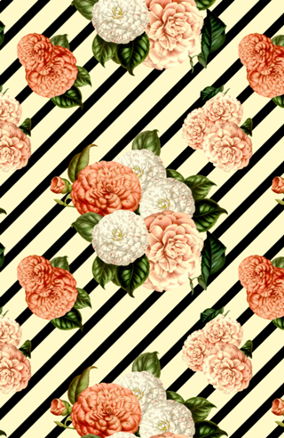 Chrysanthemum Rain