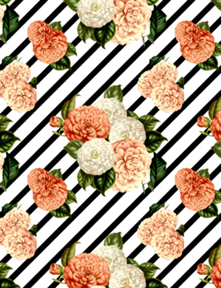Chrysanthemum Rain