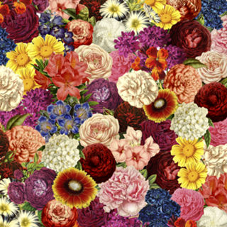 Spring Explosion