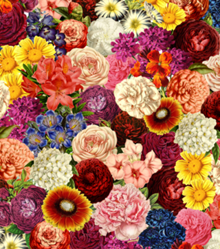 Spring Explosion