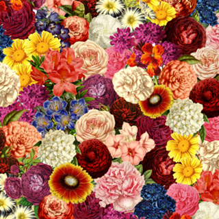 Spring Explosion