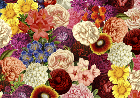 Spring Explosion