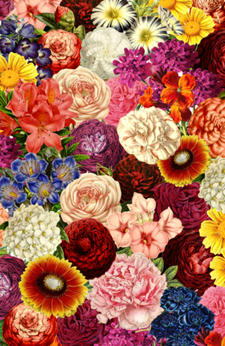 Spring Explosion