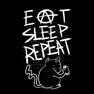 Eat Sleep Repeat