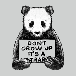 Don't Grow Up It's a Trap