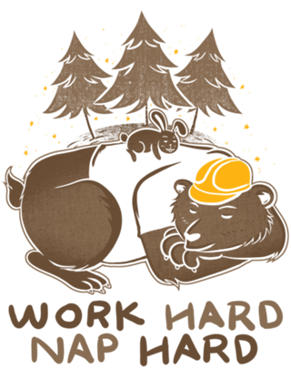 Work Hard Nap Hard