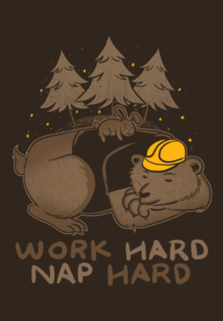 Work Hard Nap Hard