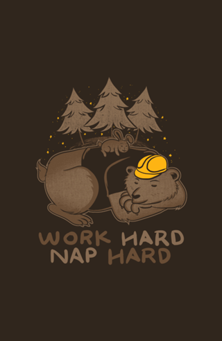 Work Hard Nap Hard