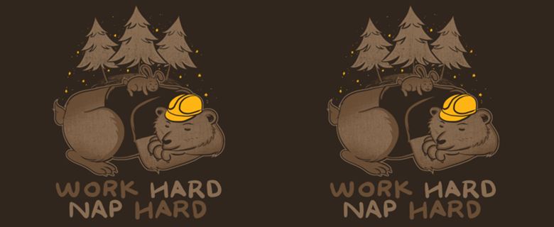 Work Hard Nap Hard