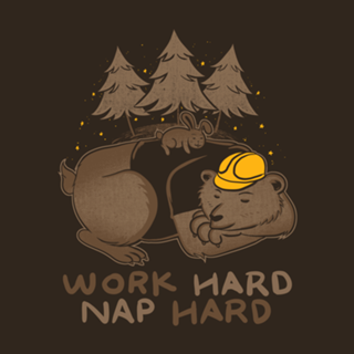 Work Hard Nap Hard