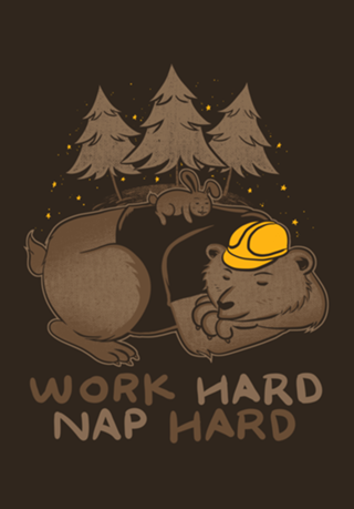 Work Hard Nap Hard