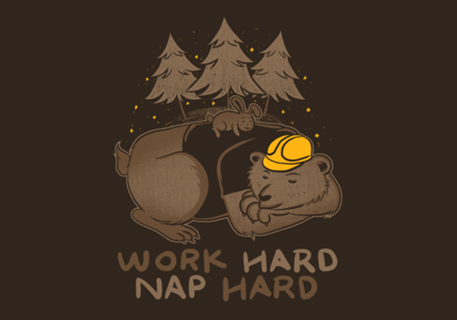 Work Hard Nap Hard