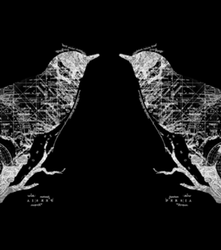 Bird Wanderlust
