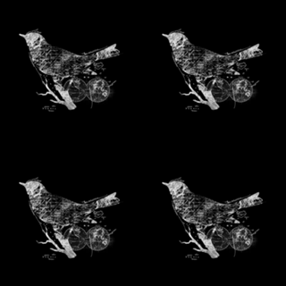 Bird Wanderlust
