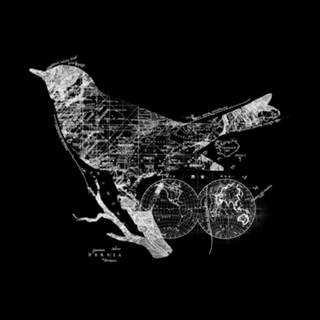 Bird Wanderlust