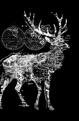 Deer Wanderlust