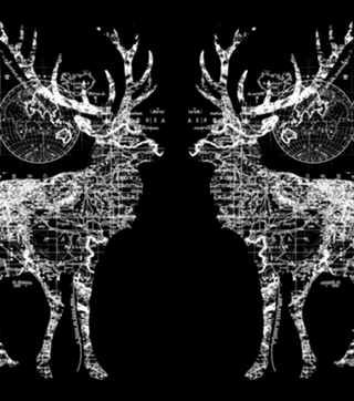 Deer Wanderlust