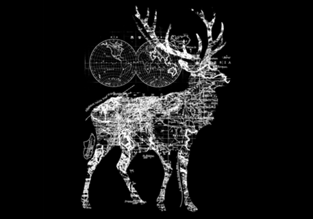Deer Wanderlust