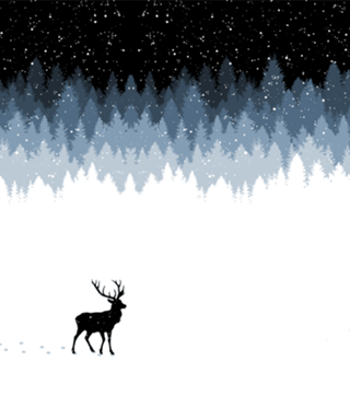 Winter Night