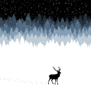 Winter Night