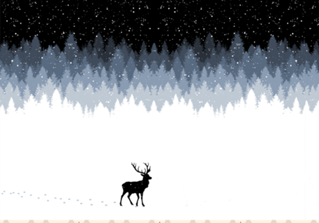 Winter Night