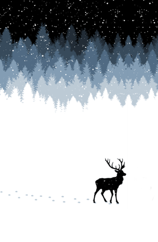 Winter Night