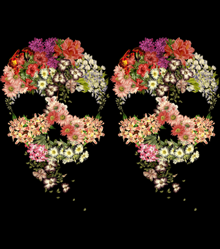 Skull Floral Decay