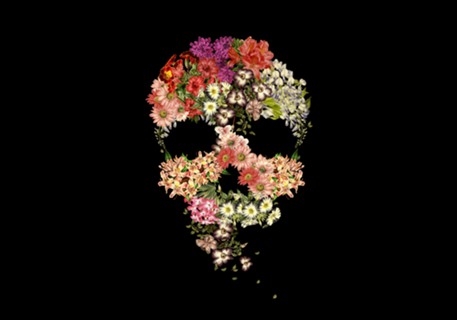 Skull Floral Decay