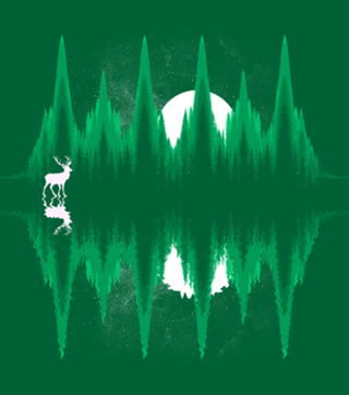 Equalizer