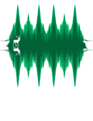 Equalizer