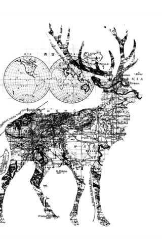 Deer Wanderlust Black and White