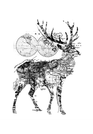 Deer Wanderlust Black and White