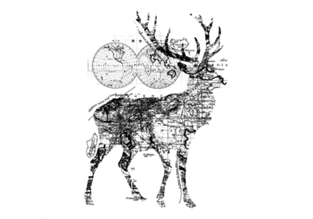 Deer Wanderlust Black and White