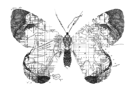 Butterfly Wanderlust Black and White