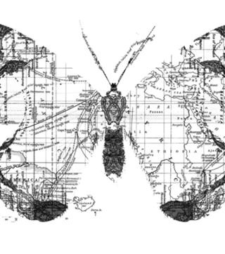 Butterfly Wanderlust Black and White