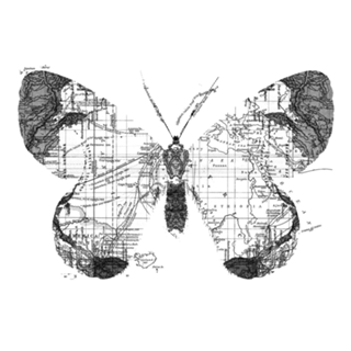 Butterfly Wanderlust Black and White